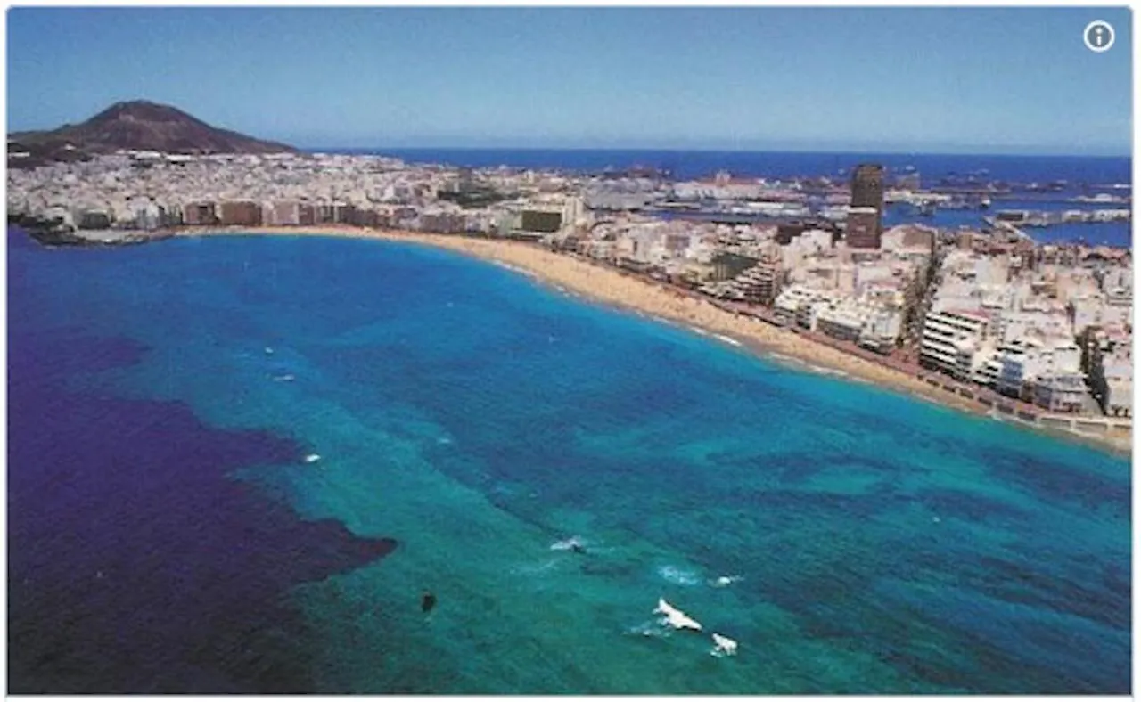 Apartment Playa Canteras Samperez Las Palmas de Gran Canaria Spain